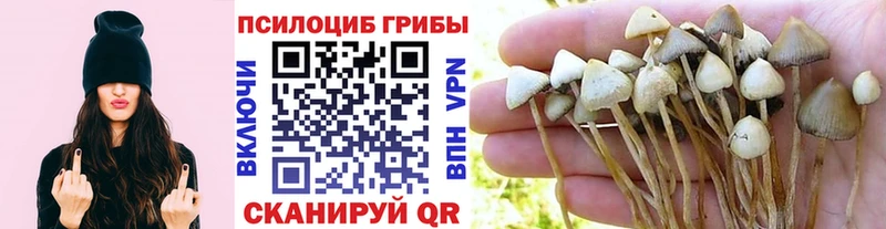 Псилоцибиновые грибы GOLDEN TEACHER  нарко площадка состав  Жигулёвск 